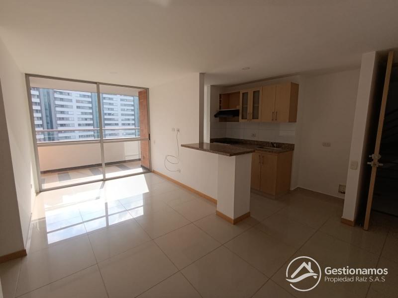 WhatsApp Image 2026-02-20 at 9.33.34 AM (2).jpeg